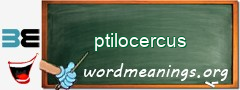 WordMeaning blackboard for ptilocercus